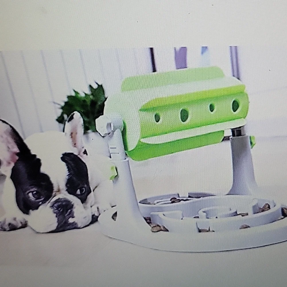 Companet interactive dog cat Slow Feeder Food Puzzle Small Medium Green …NEW